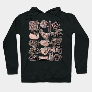 Rocks and Minerals Hoodie